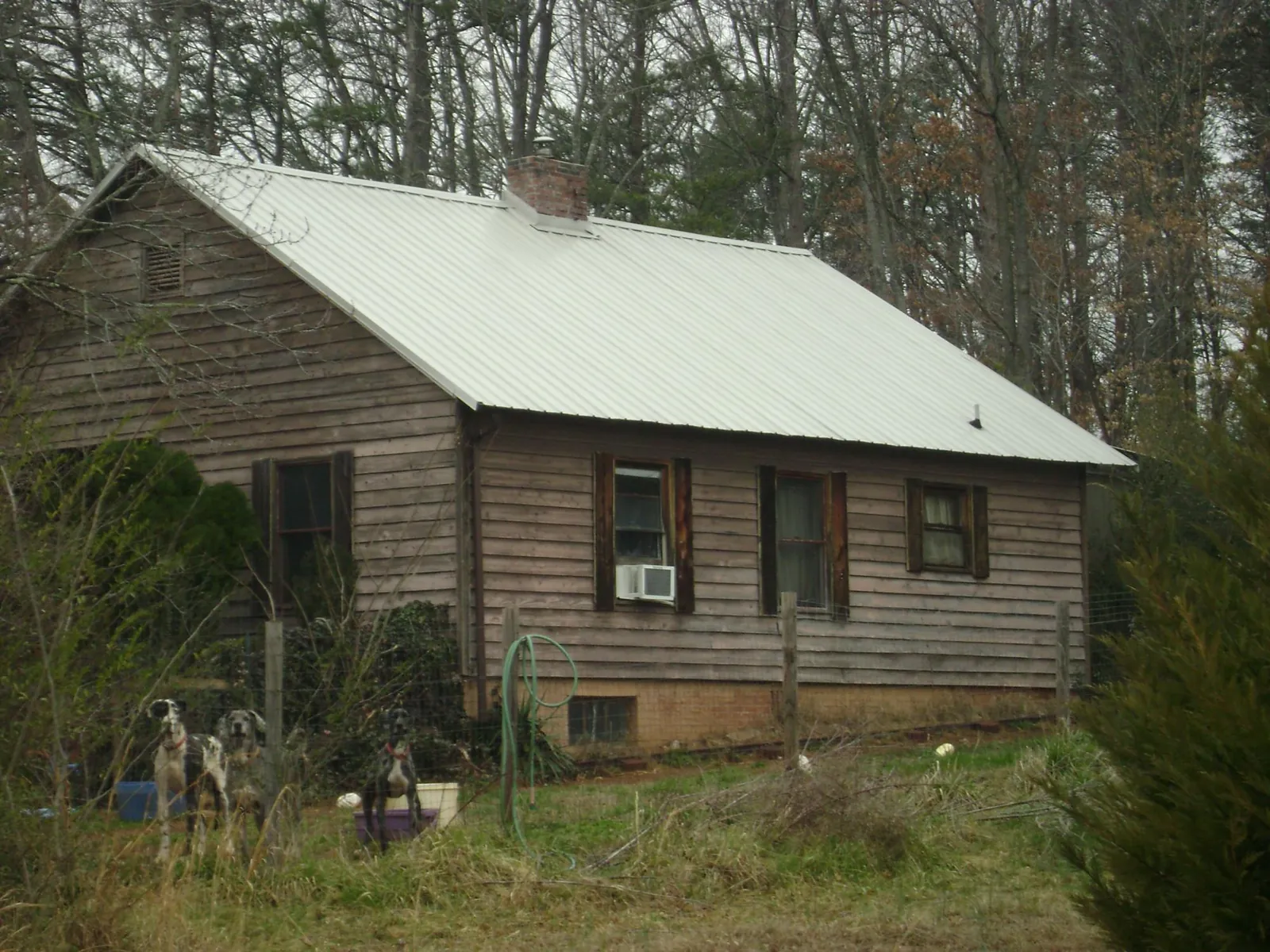 White metal roof on an old wood sided farmhouse, from a Asphalt Shingle Roof Repair job in Perry